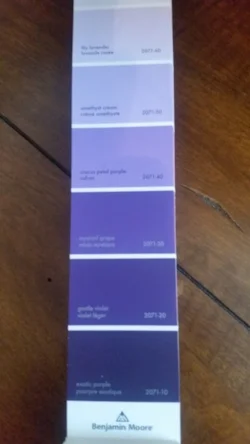 Paint chip from Benjamin Moore