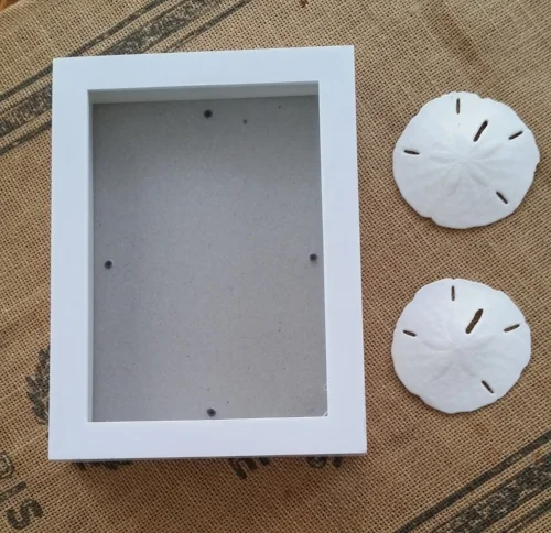 Starfish & Empty Shadow Box.jpg
