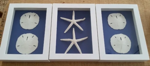 Shadow Boxes Completed.jpg