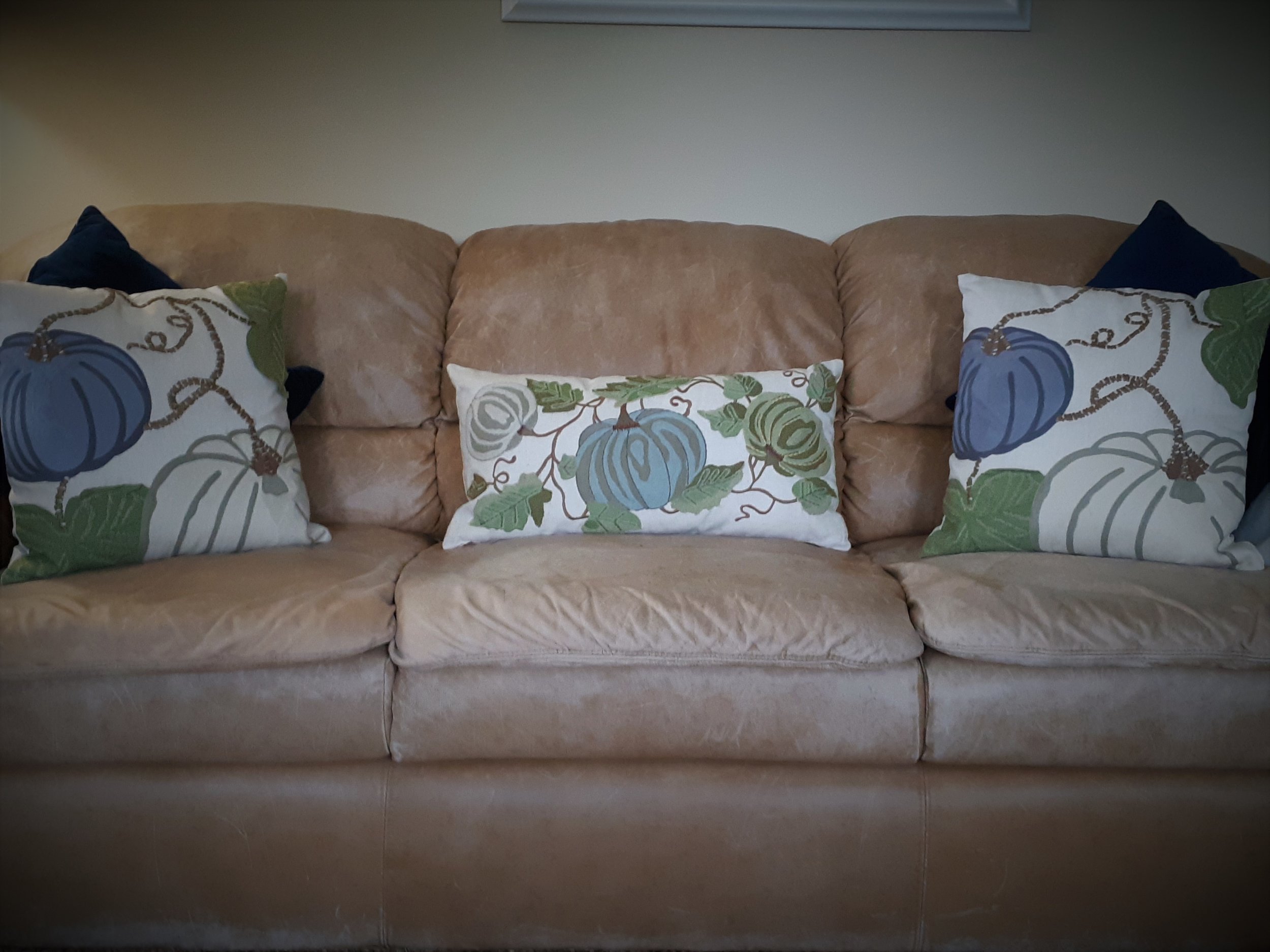 Fall Pillows on Sofa.jpg