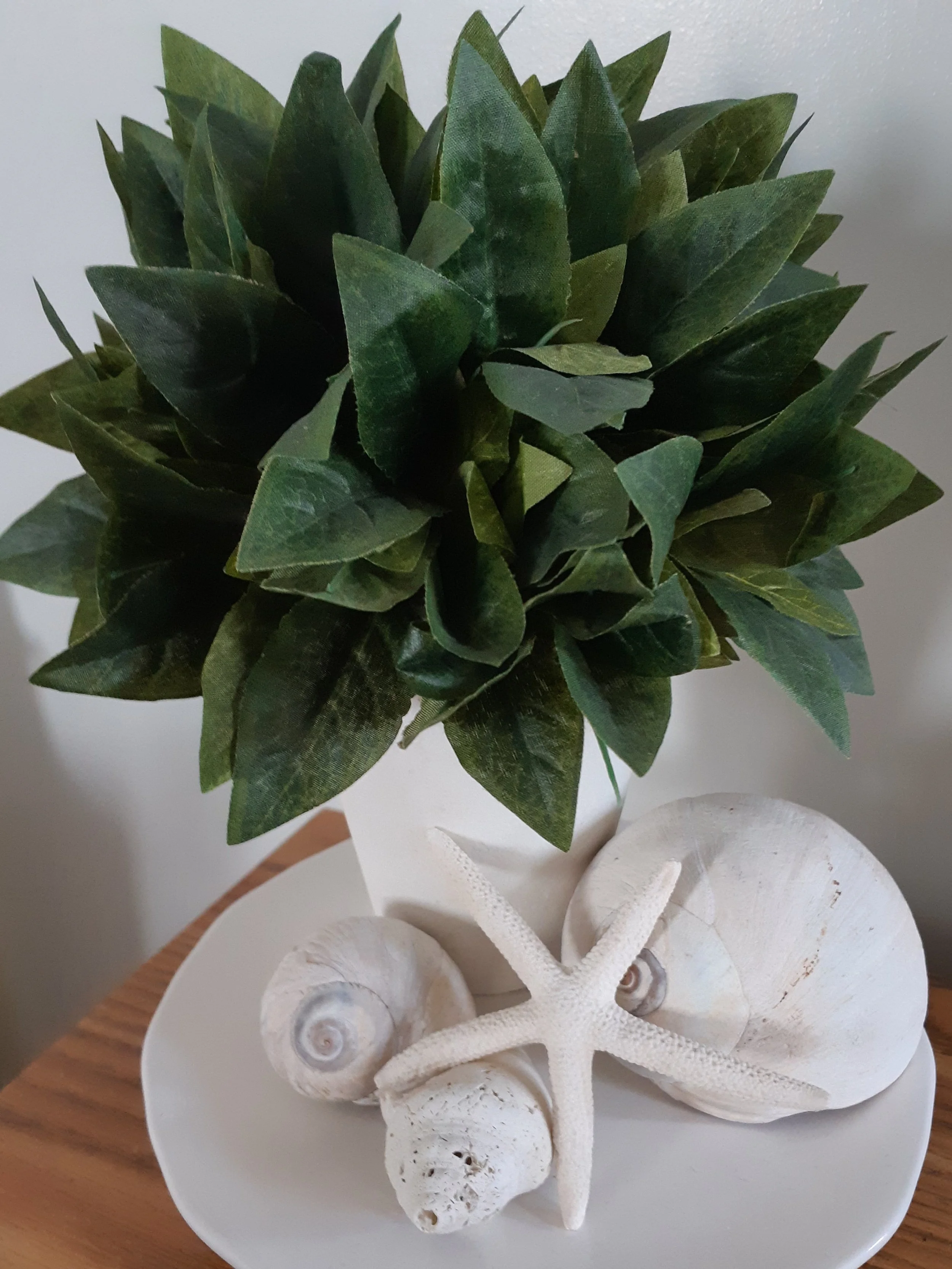 Greenery and Sea Shells.jpg