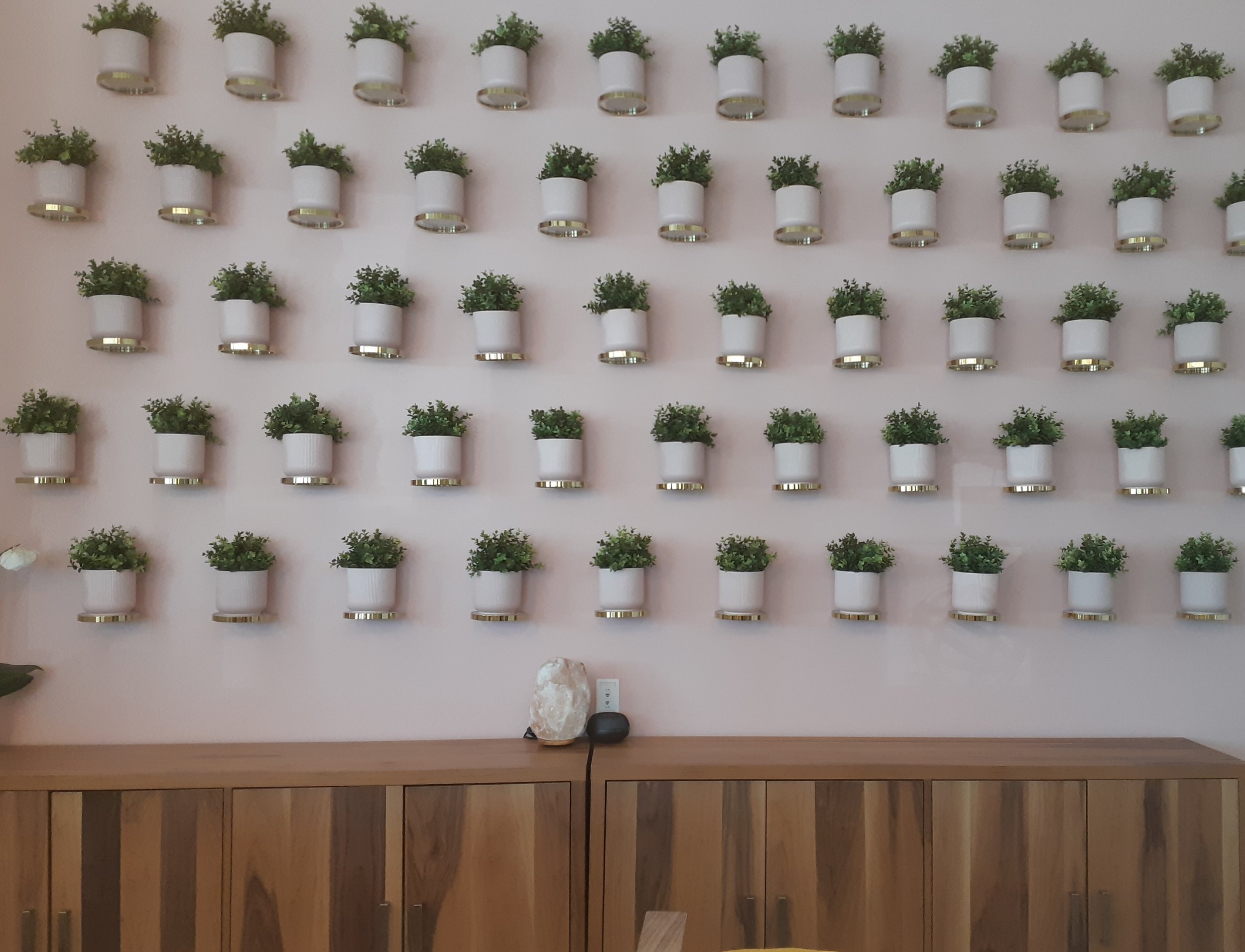 Feature Wall - Plants.jpg