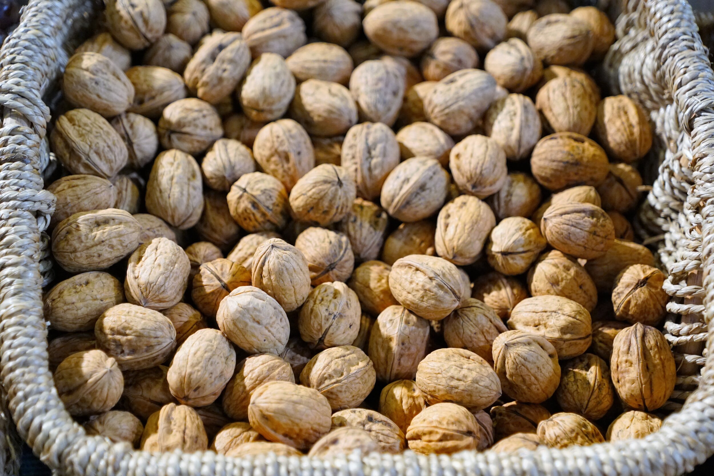 Basket of Nuts.jpg