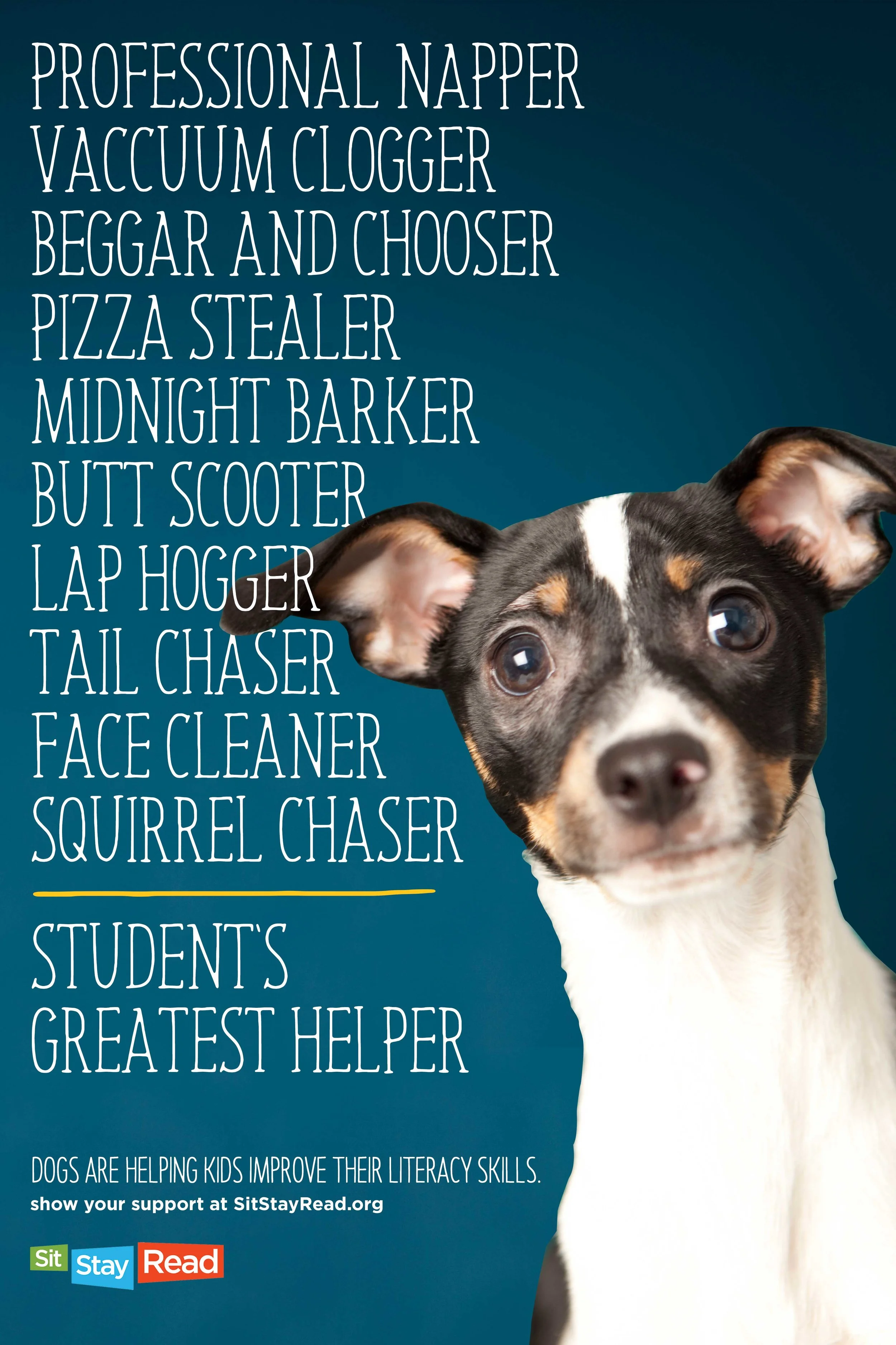 Dog4_R3.jpg