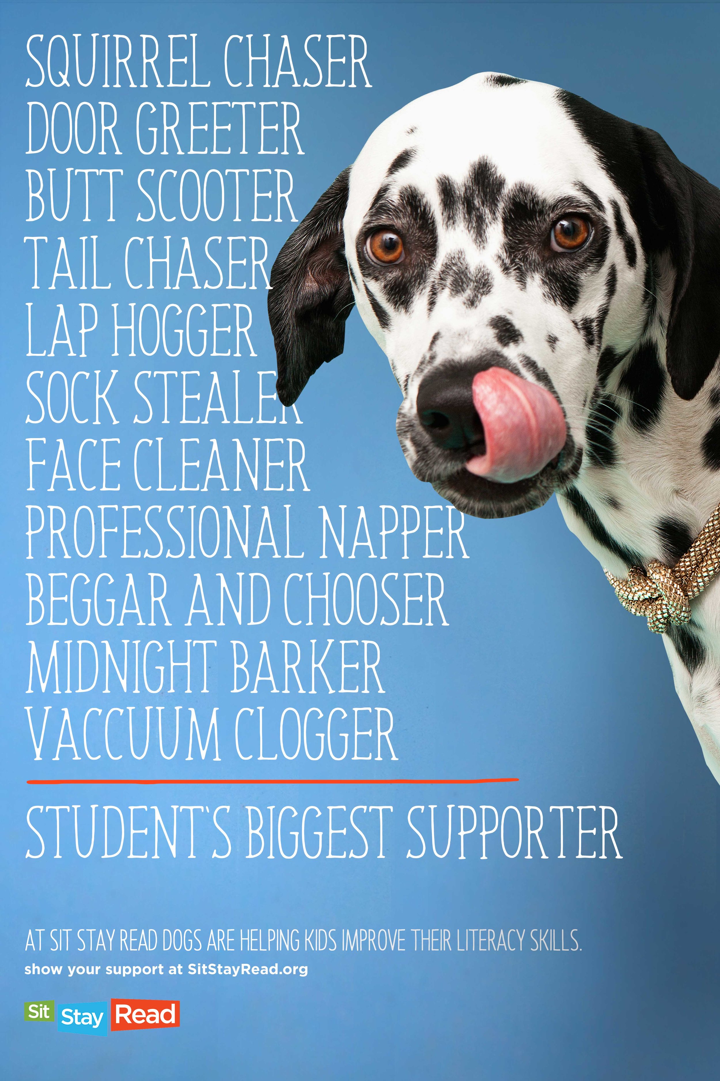 Dog5_R3.jpg