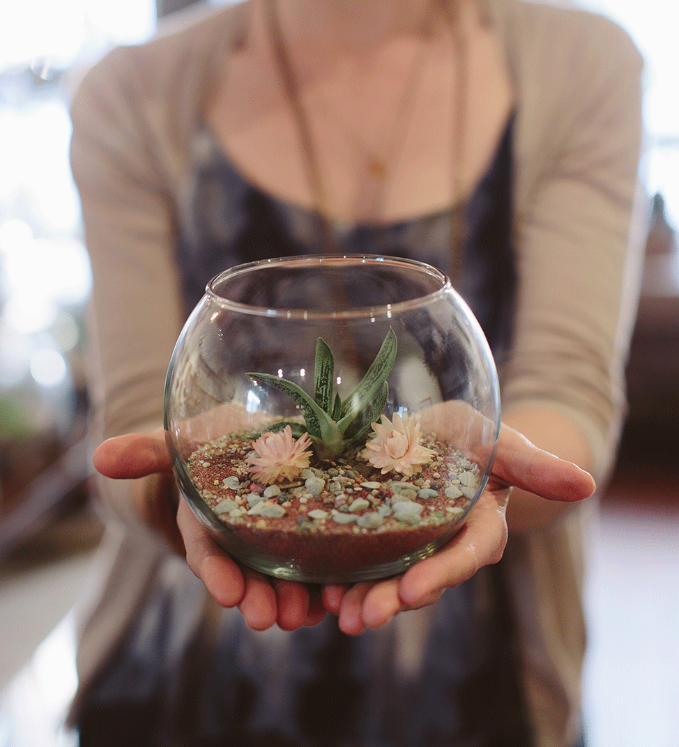 TERRARIUMS: OUR SPECIALTY Making a terrarium involves taking elements of nature and arranging them in a way that is exquisite. CUSTOM TERRARIUMS Let us create a custom Terrarium design for you. Whether it is a centerpiece for your business or a special gift for a friend, we work to bring your vision to life within a unique glass world. For ore information on our Custom Designs, CLICK HERE