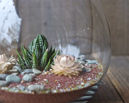 1 . Learn to make a terrarium in a fun social setting.