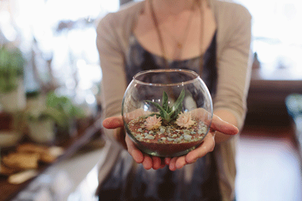6 . You'll have your very own terrarium to take home.