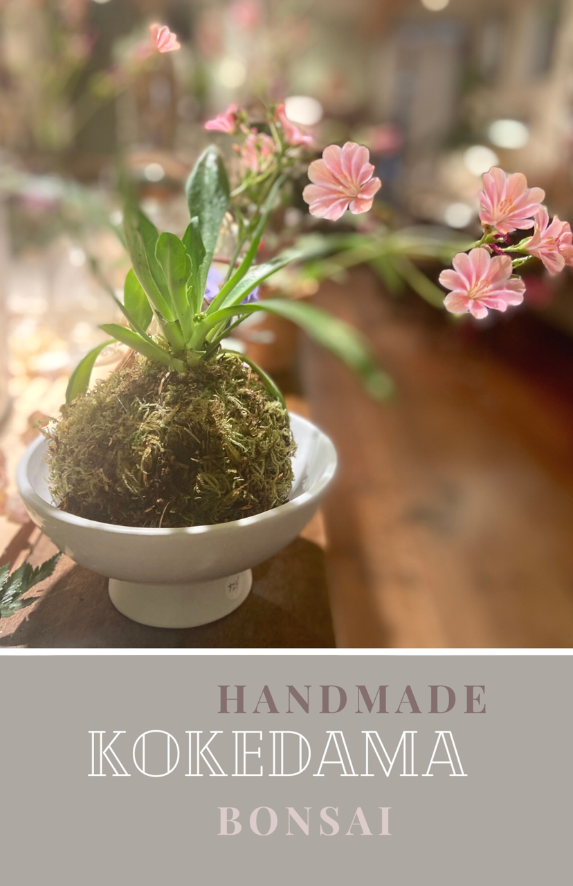 DIY Kokedama Sundays Workshops