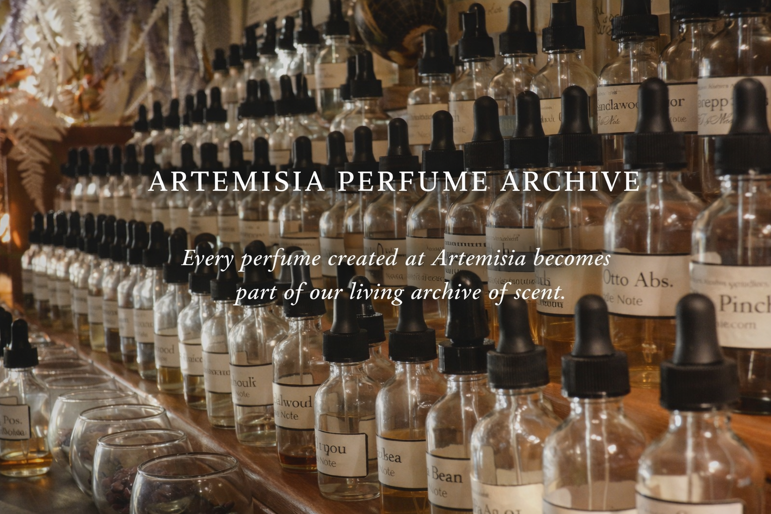 The Artemisia Perfume Archive.png