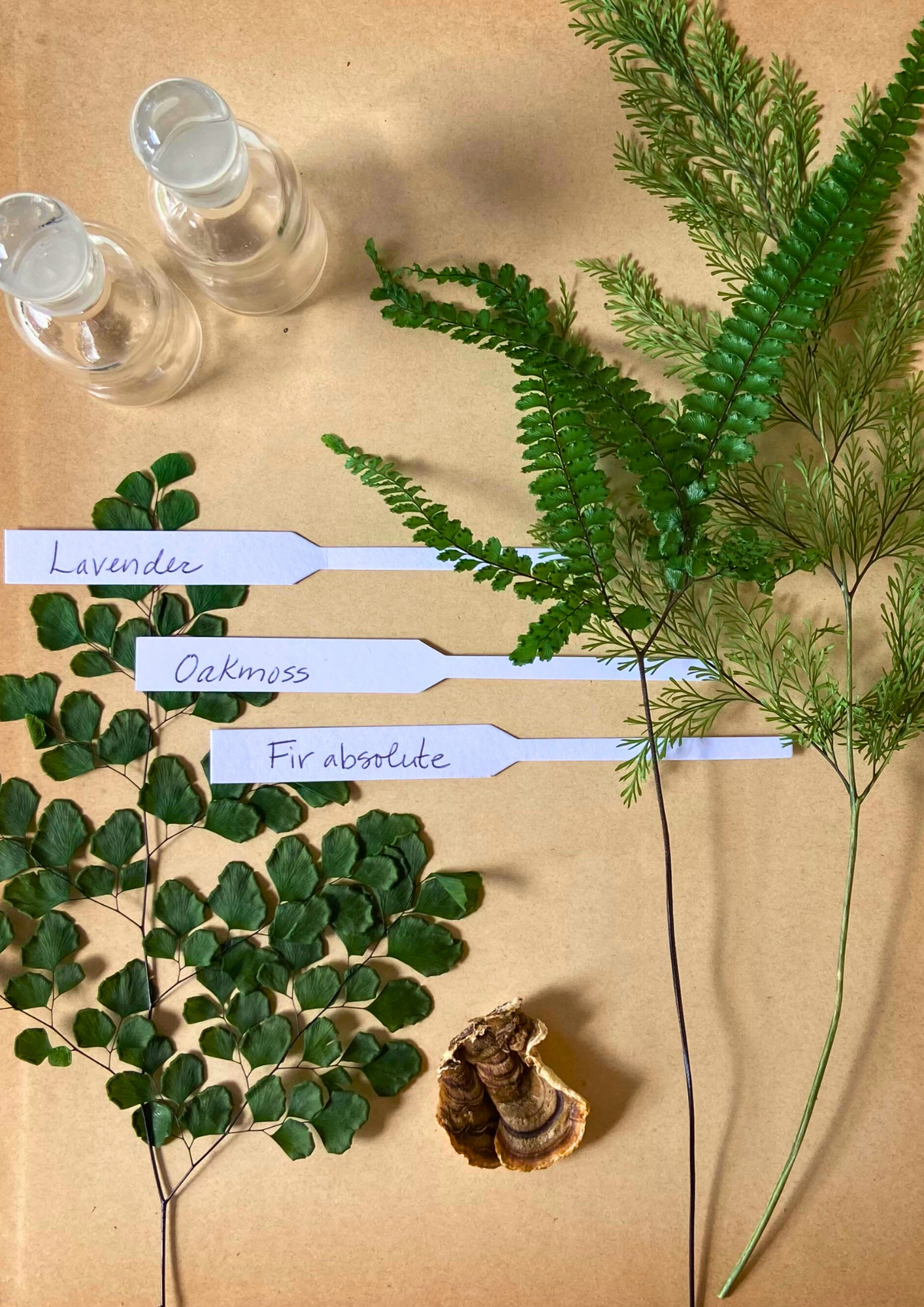 Passion for Place: Create a Concept Perfume