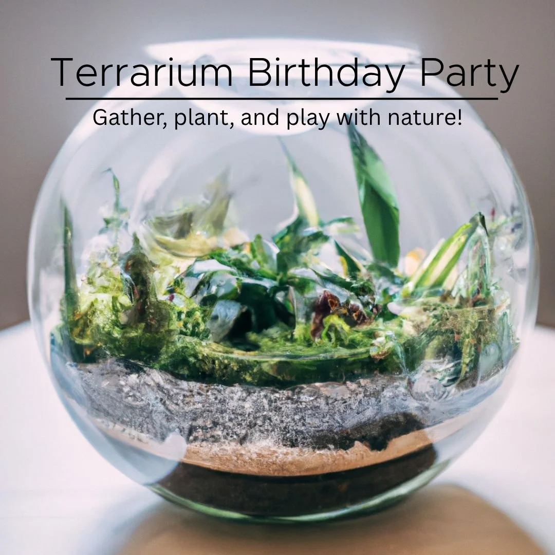 Terrarium Birthday Party: Gather, plant, and play with nature!