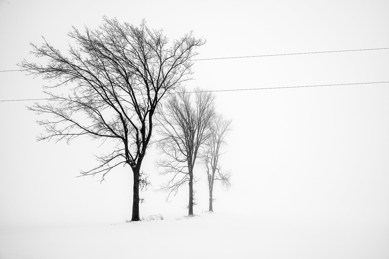 DSC_0952web.jpg