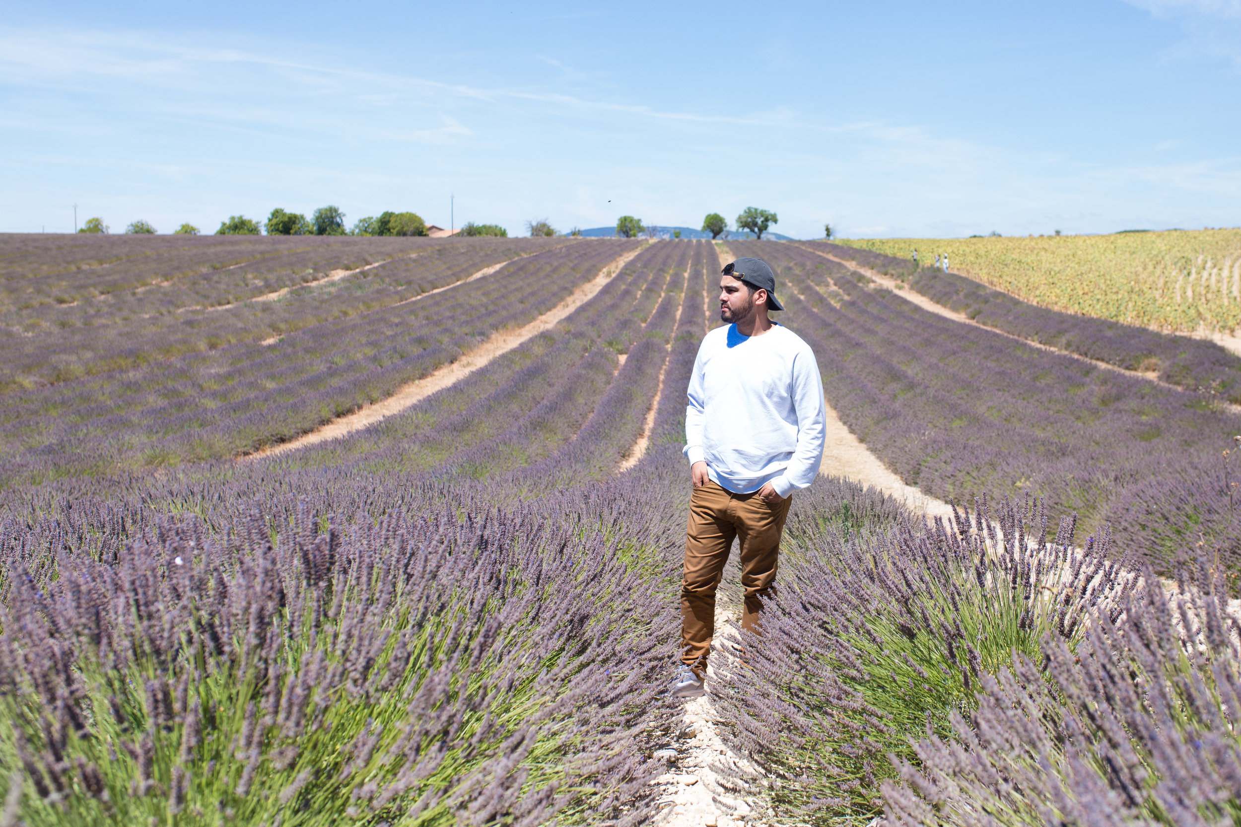 Provence2017-1.jpg