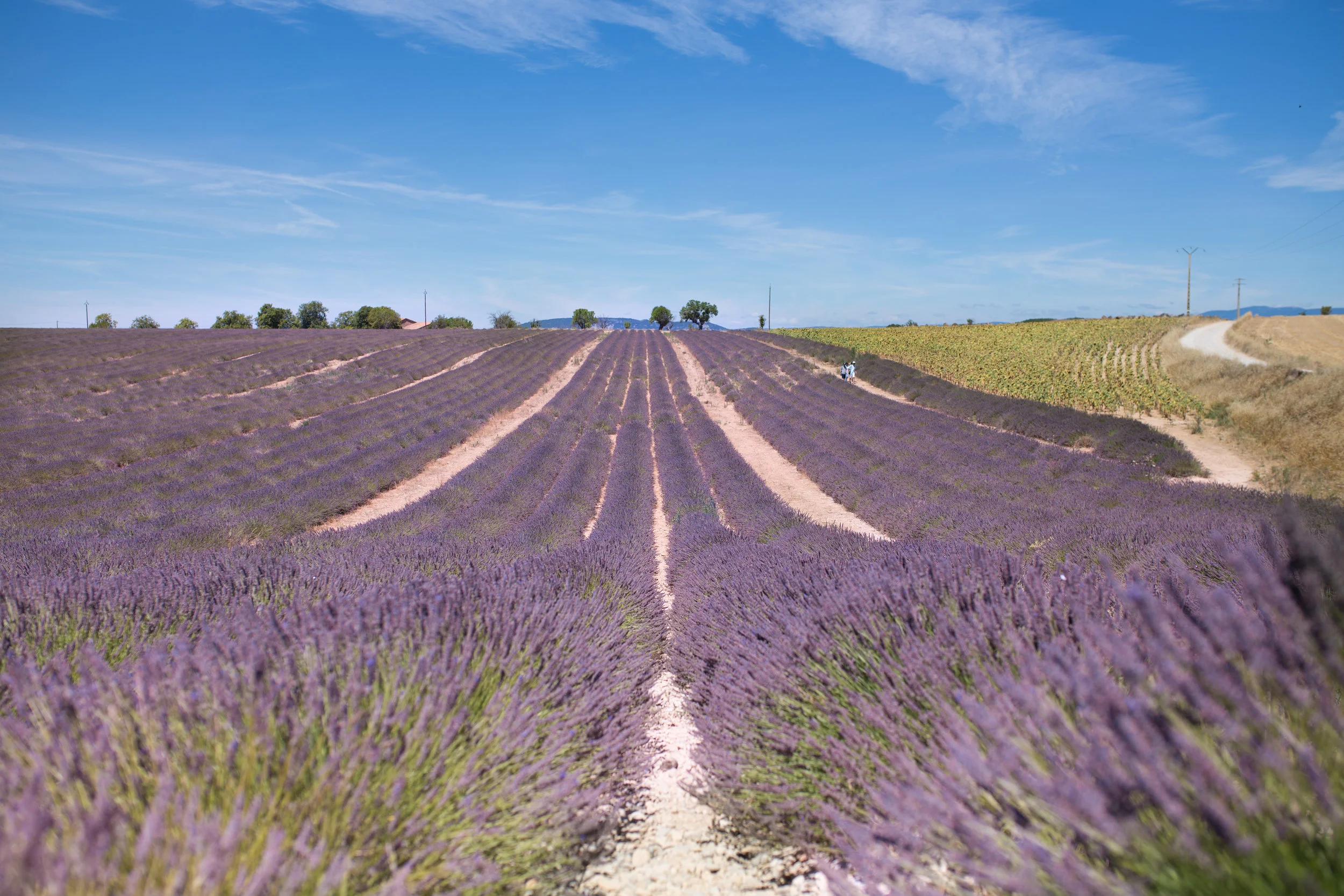 Provence2017-6.jpg