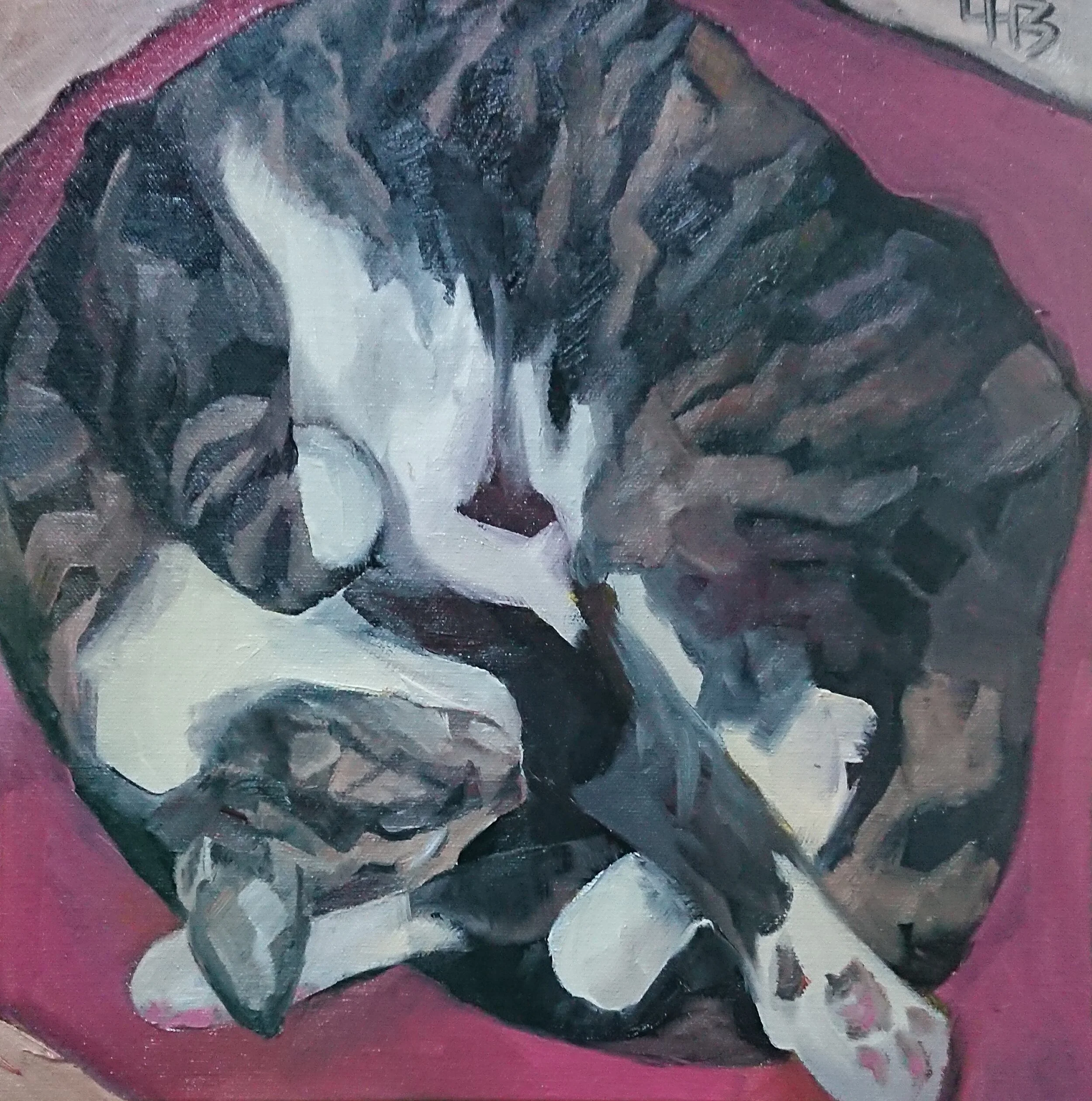 2019-LBarringer-TigerSleeping-12x12.jpg