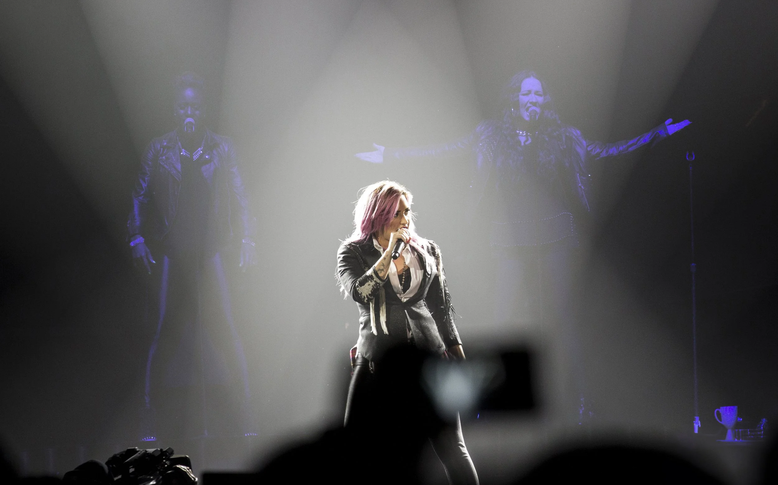 demi3_12505065953_o.jpg