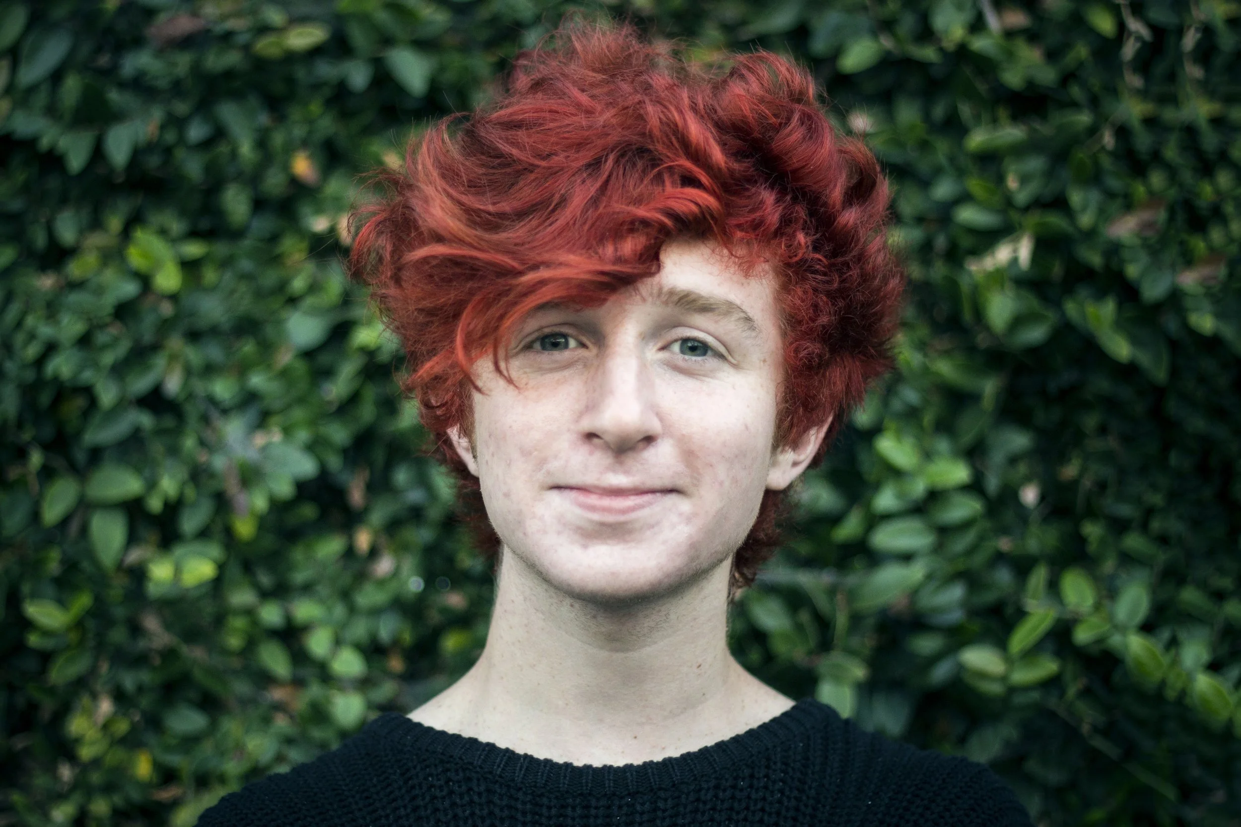 hollywoodendingdan1_15031375959_o.jpg