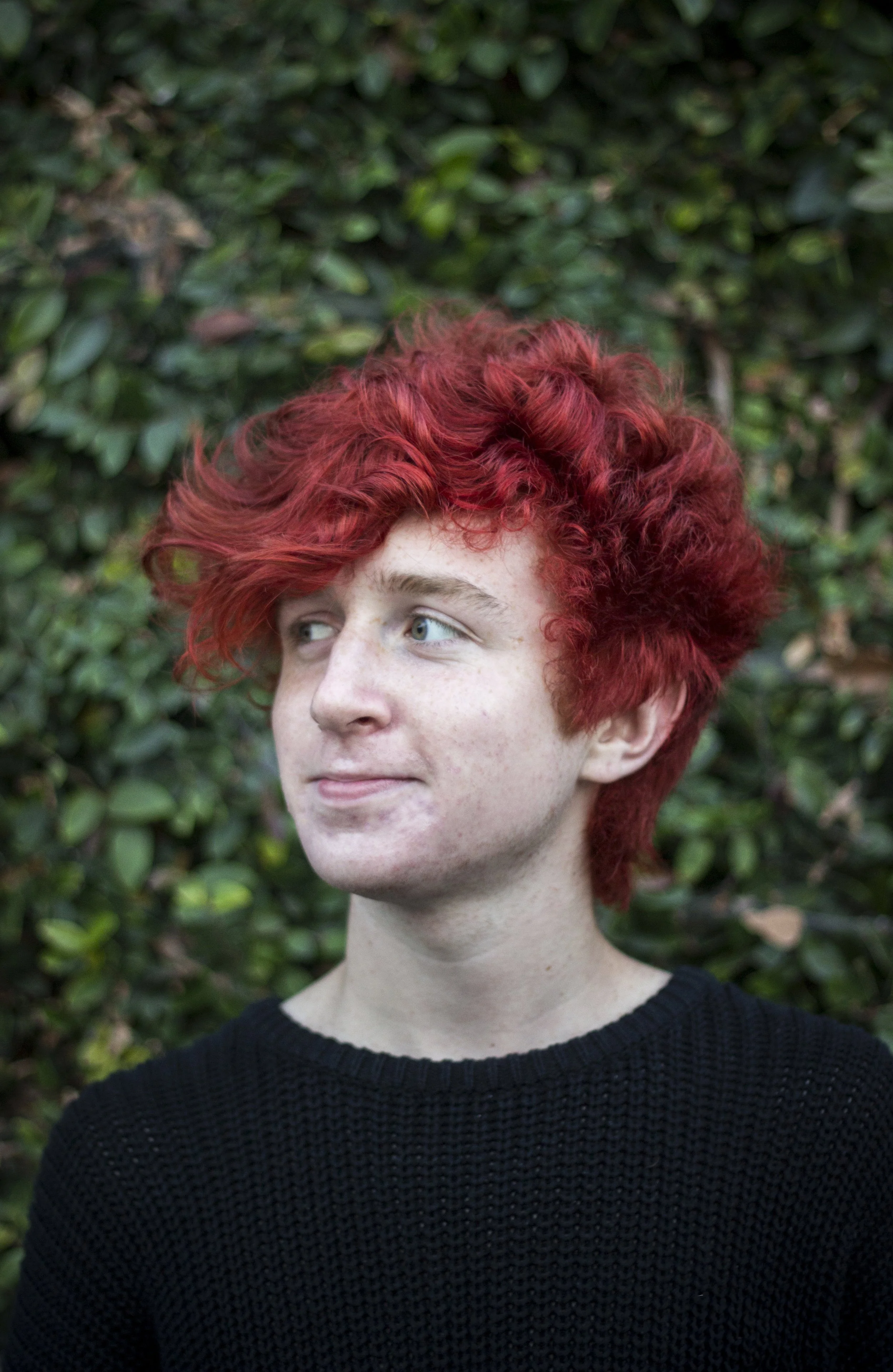 hollywoodendingdan4_15031580168_o.jpg
