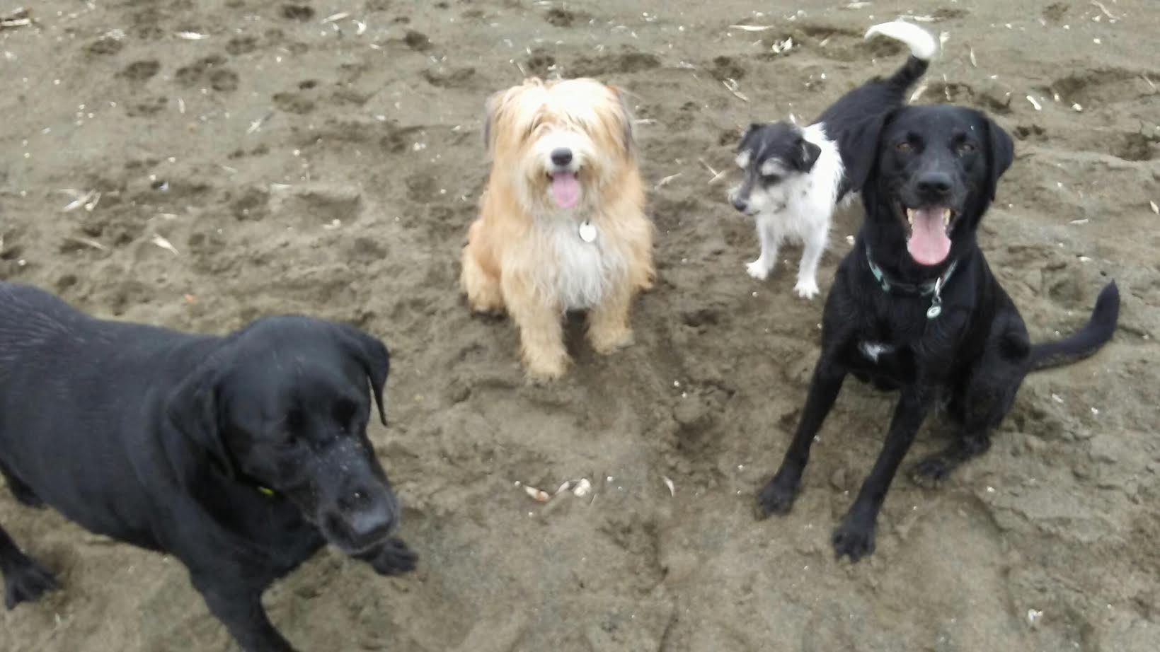 It's sandy at the beach!