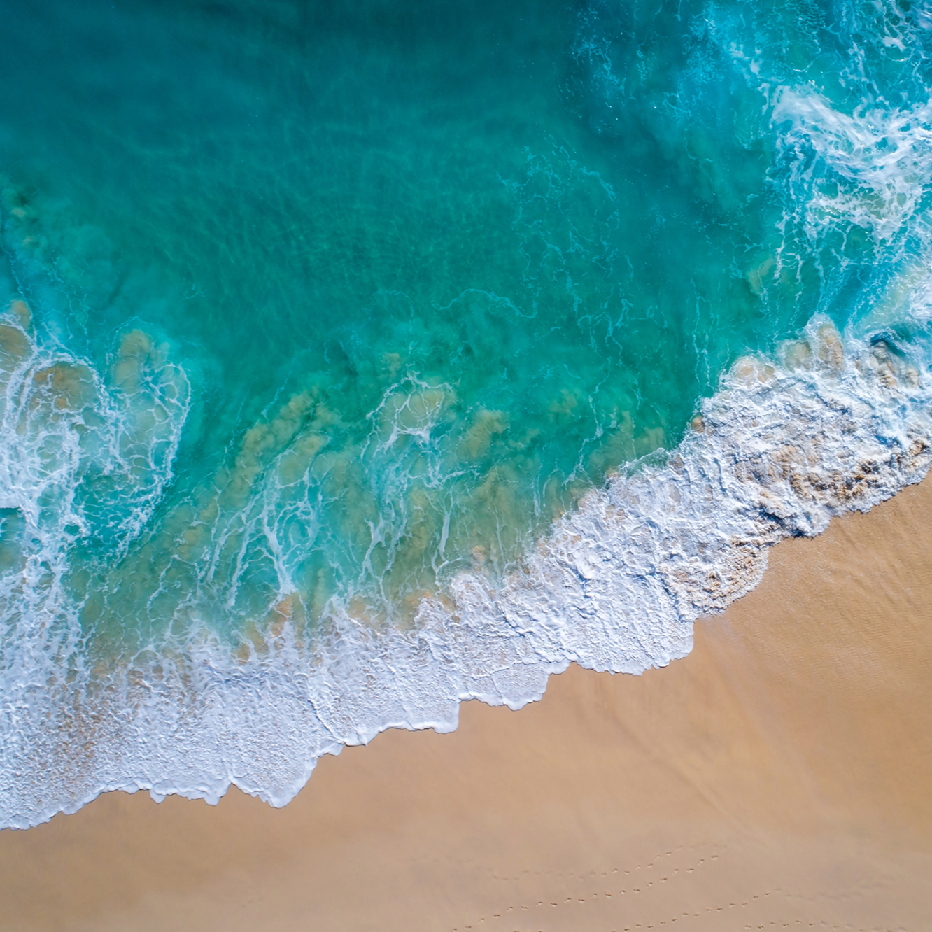 beach.png