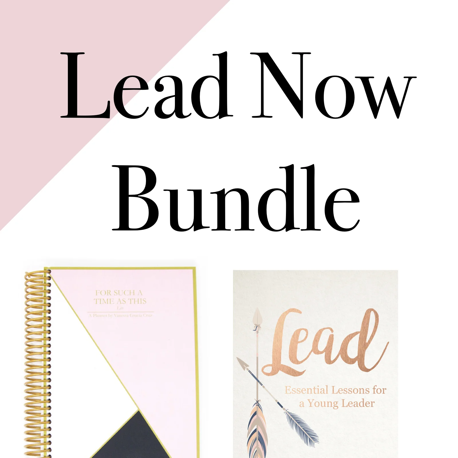 store-lead-bundle.jpeg