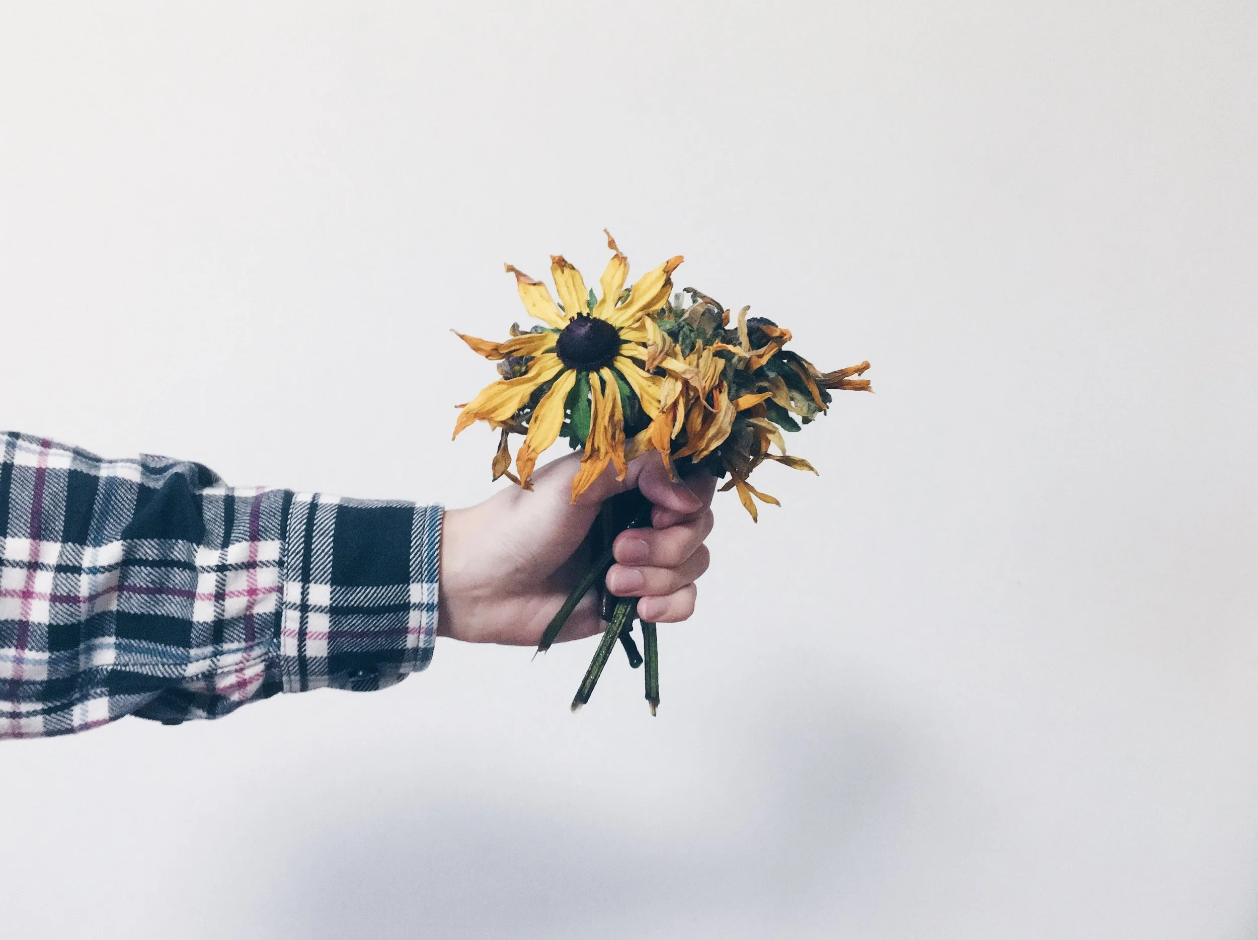 How can giving thanks make a difference?