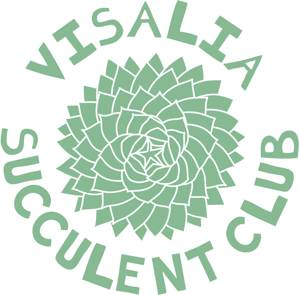VSC-Logo-Sage.gif