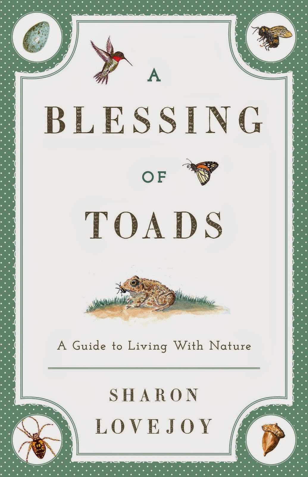 A Blessing of Toads.jpg