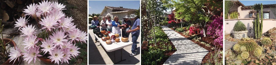 Sequoia-Garden-Club_collague.jpg