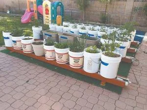 container-gardening-image-1.jpg