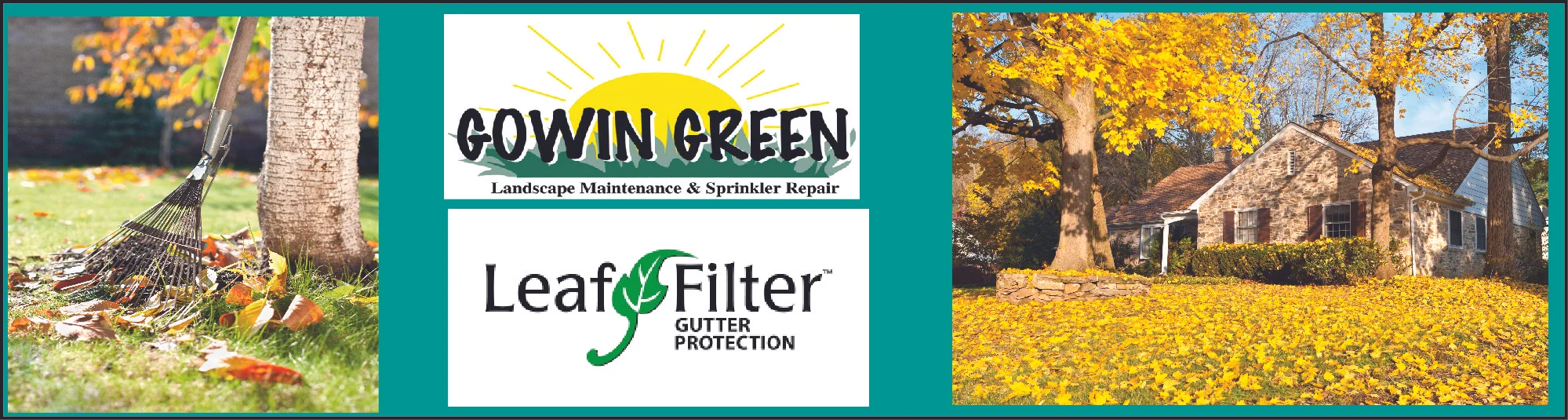 Gowin & Leaf Filter_collague.jpg