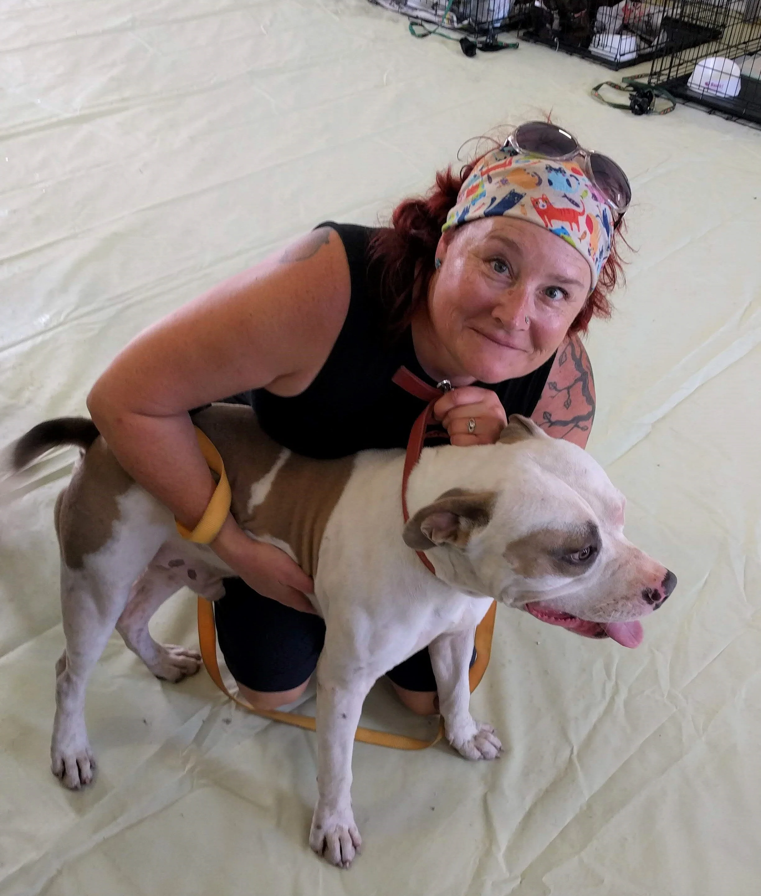  An interview with our founder Abbie in  I LOVE VETERINARY  magazine.  