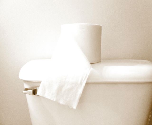 toilet.jpg
