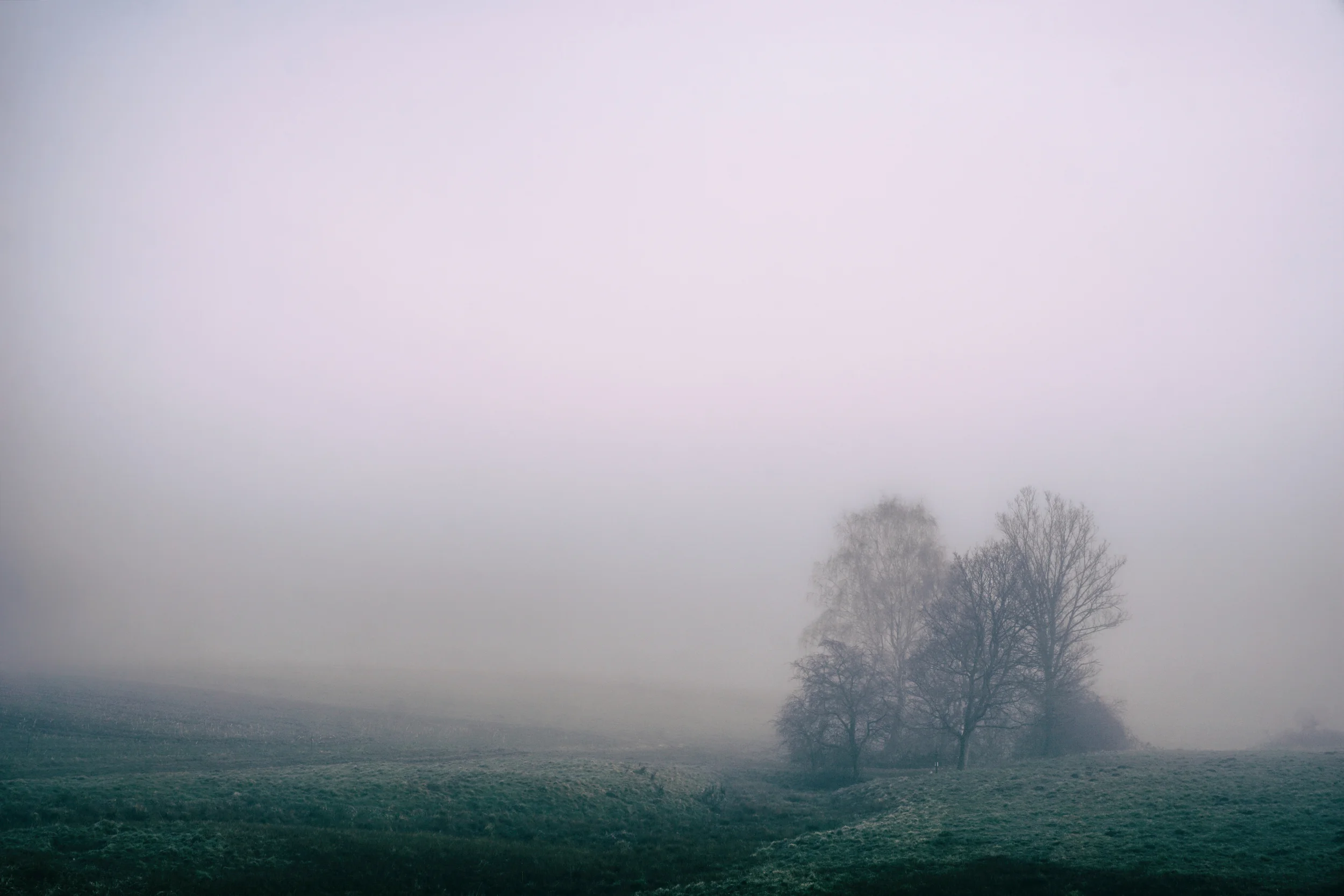 Nakedness, Shame, and When Christian Leaders Fail