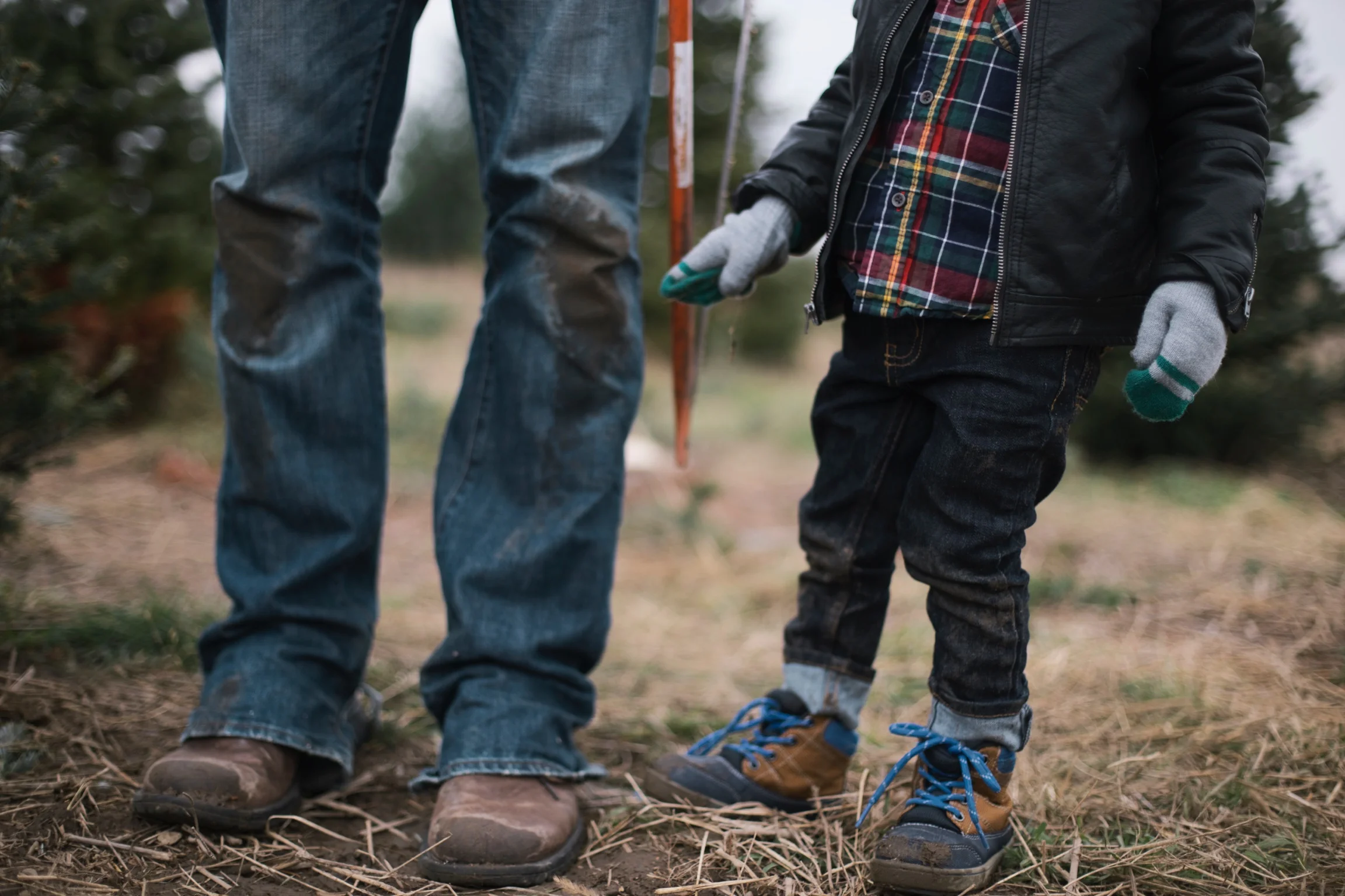 The Real War on Christmas