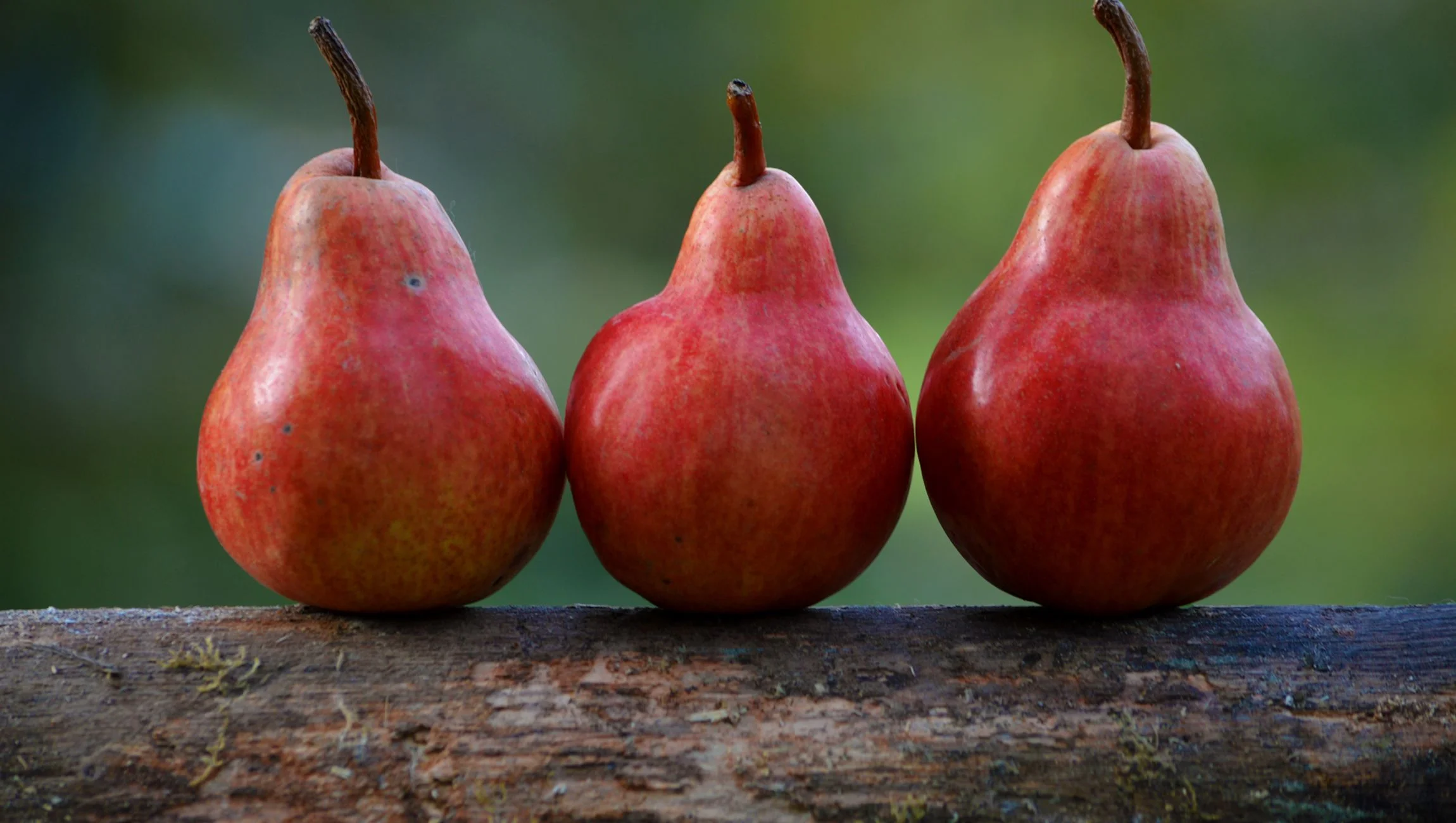 Forgiveness is Honest - No Ifs, Ands, or Buts