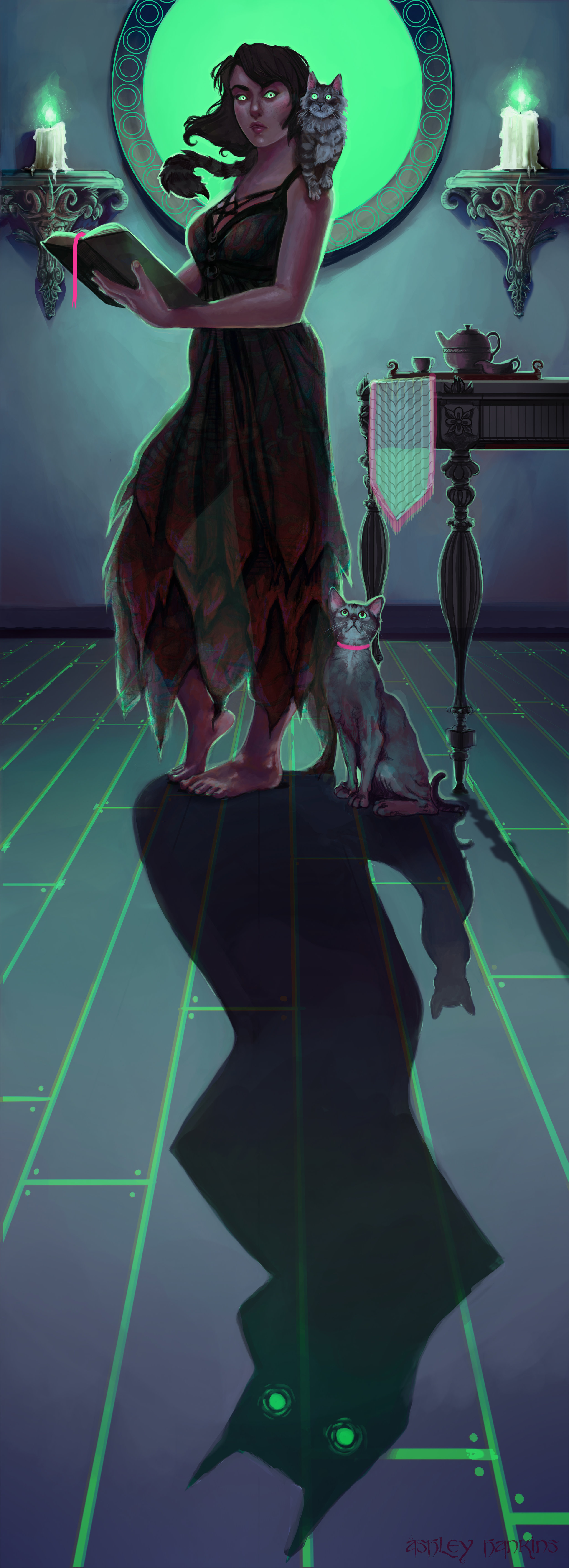 Cats and Shadows