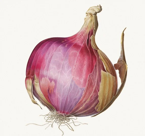 Rory McEwan - Indian Onion