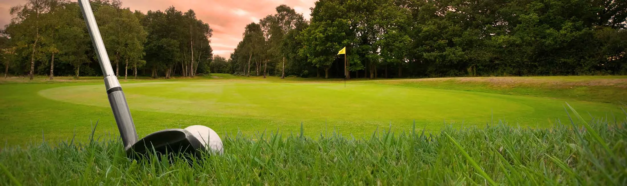 golfing.jpg