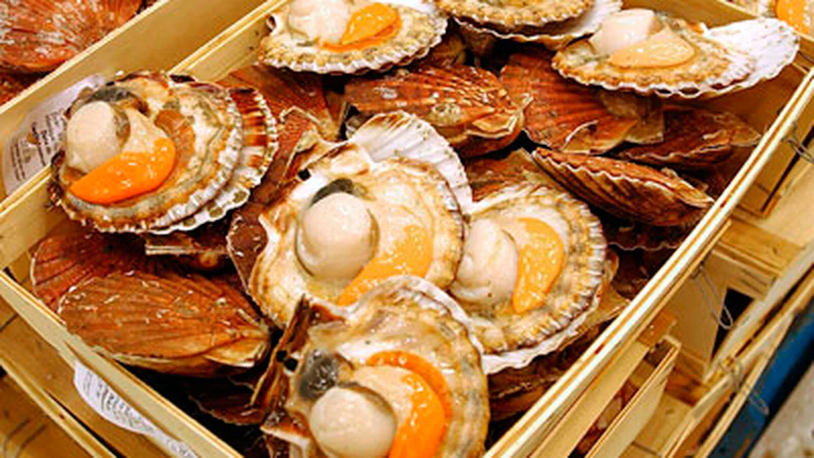 ROAST QUEEN SCALLOPS WITH A SWEET HERB BUTTER — Mevalco