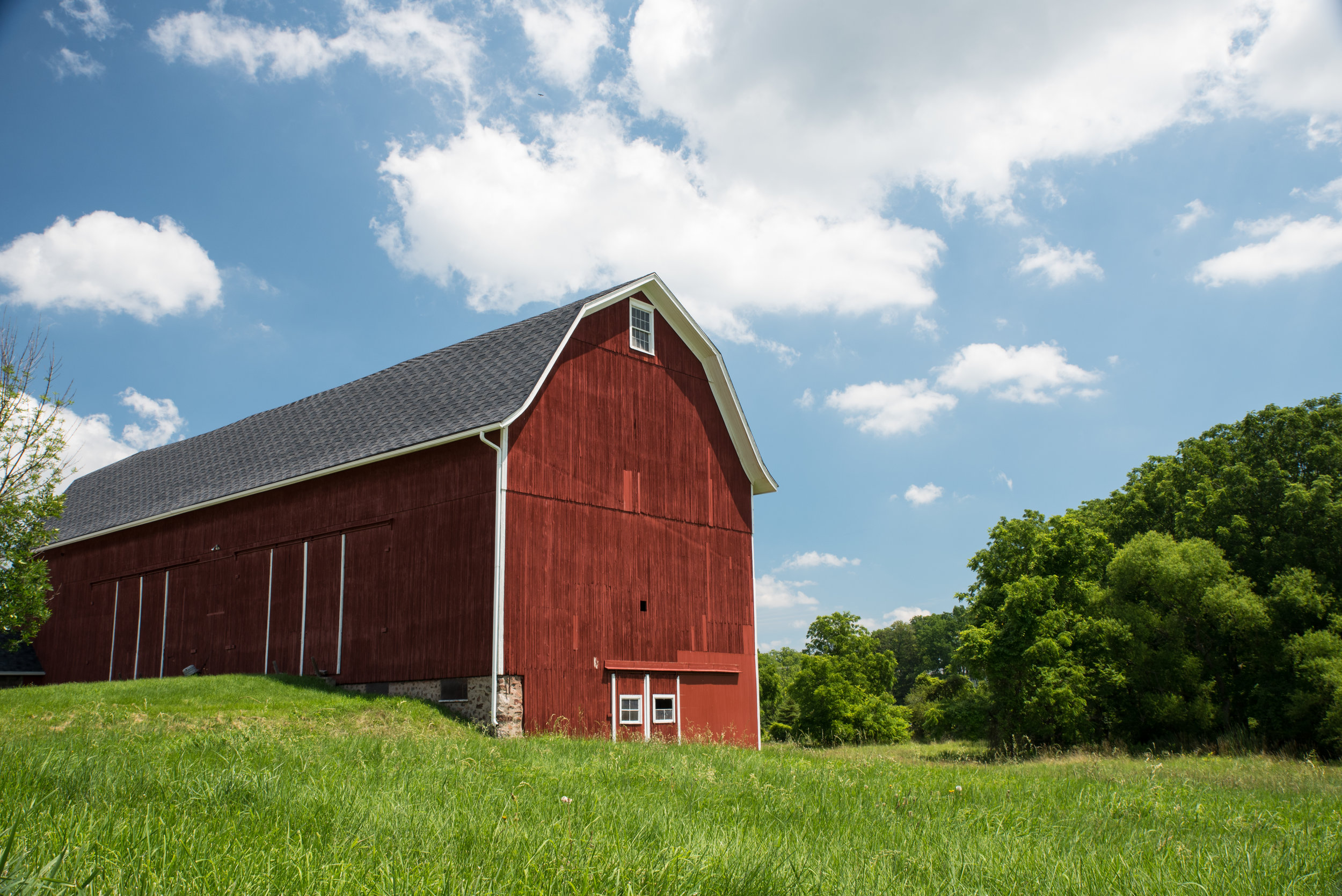barn 1 (1 of 1).jpg