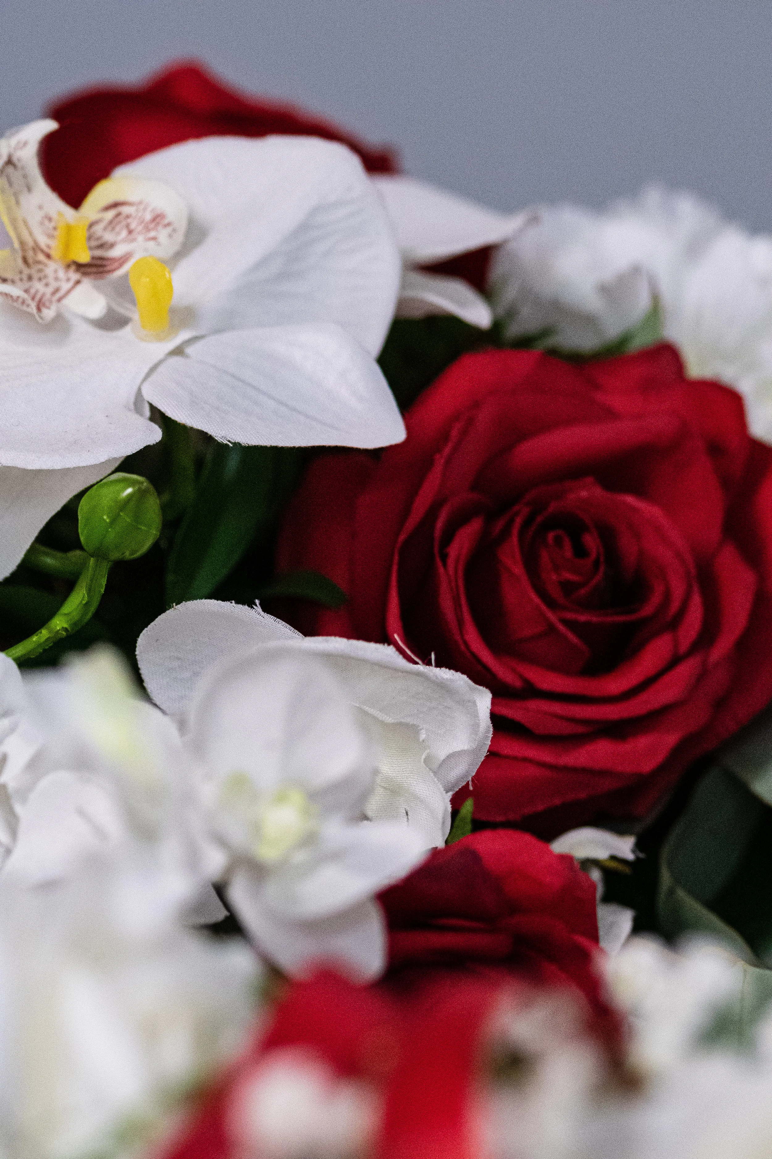 details (21 of 62).jpg