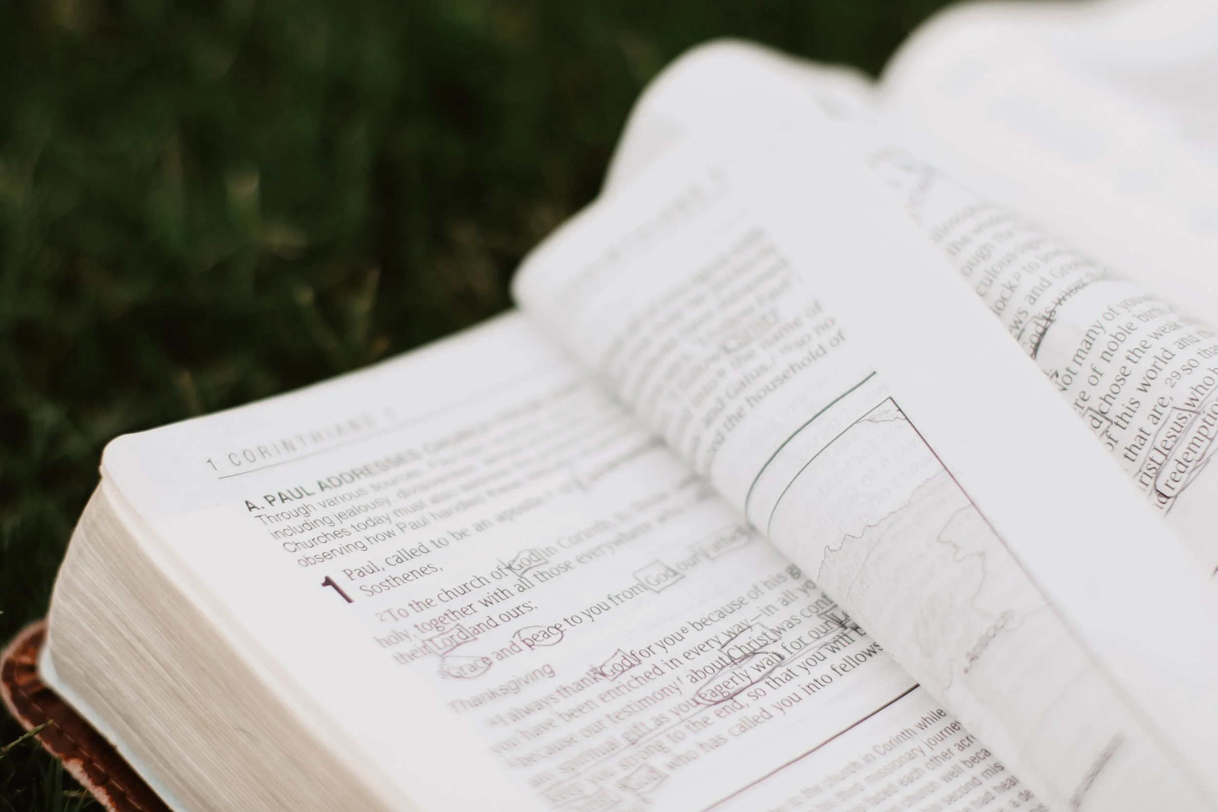 Why our Declining Biblical Literacy Matters The Conversation 16th April 2018 About: Dr Meredith Lake, 2017 ADM Senior Research Fellow Author: Dr Meredith Lake