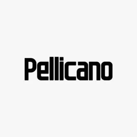 2018_Website Client Logo_Pellicano.jpg