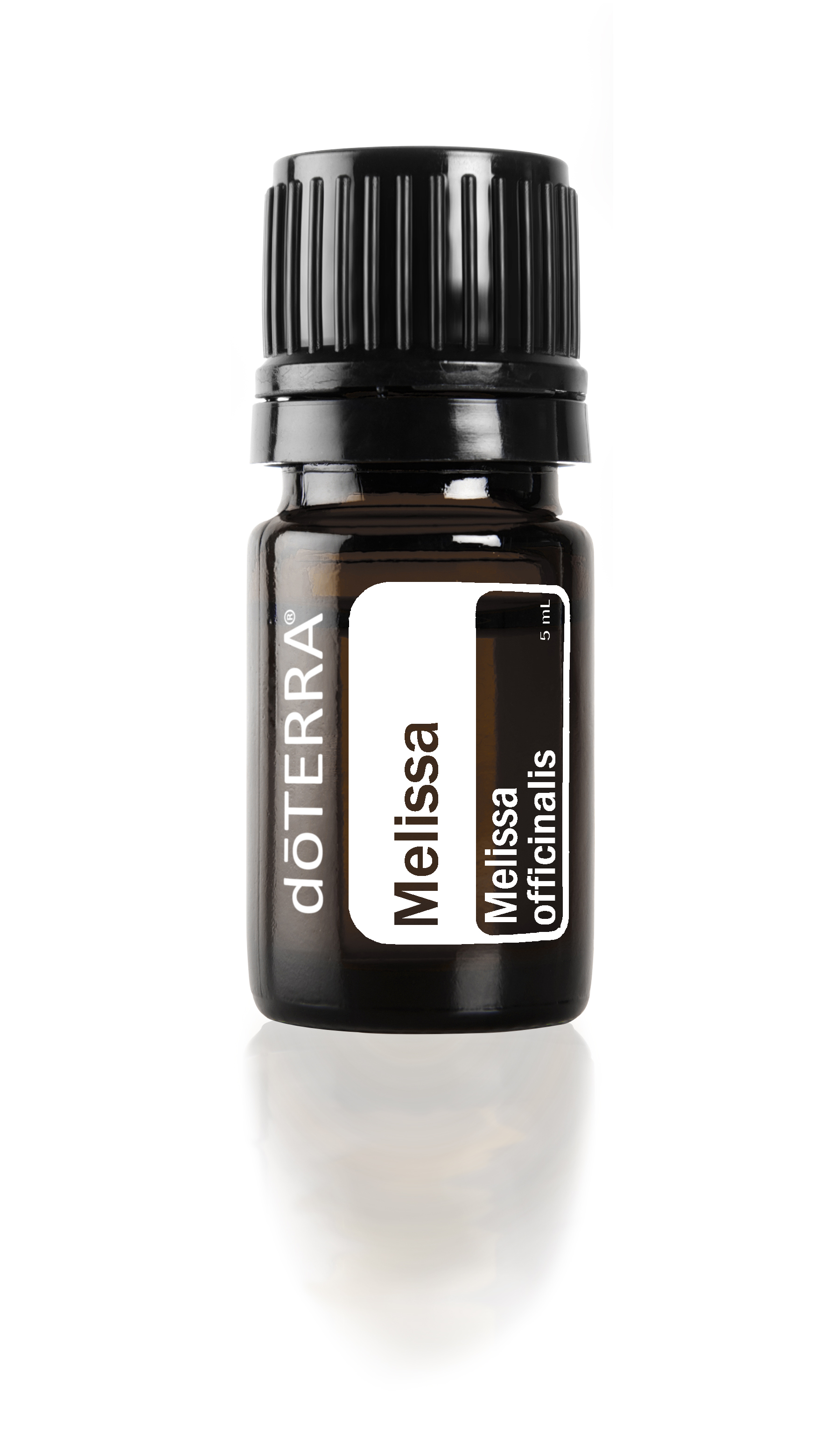 Melissa Essential Oil