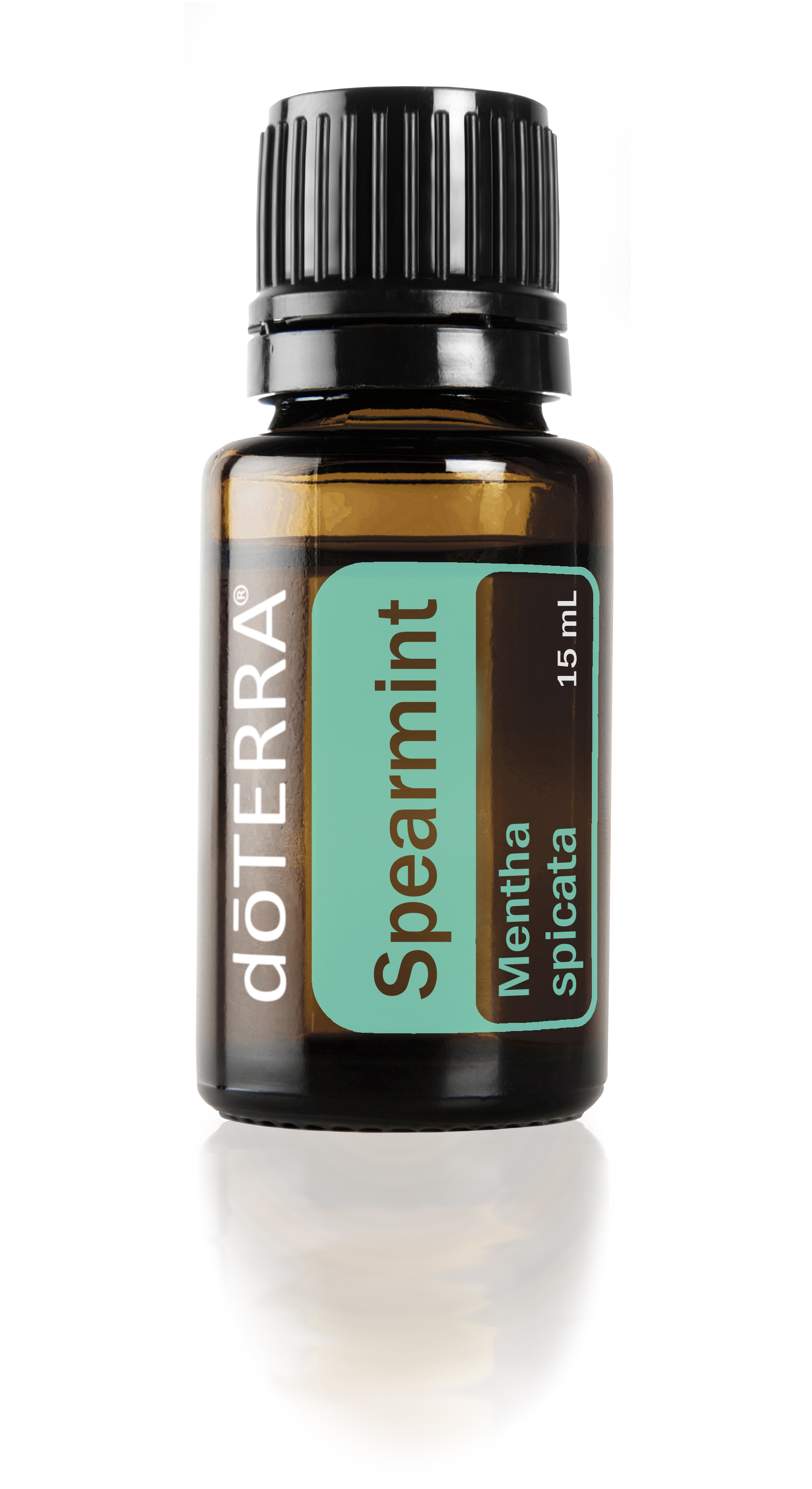 Spearmint Essential Oil