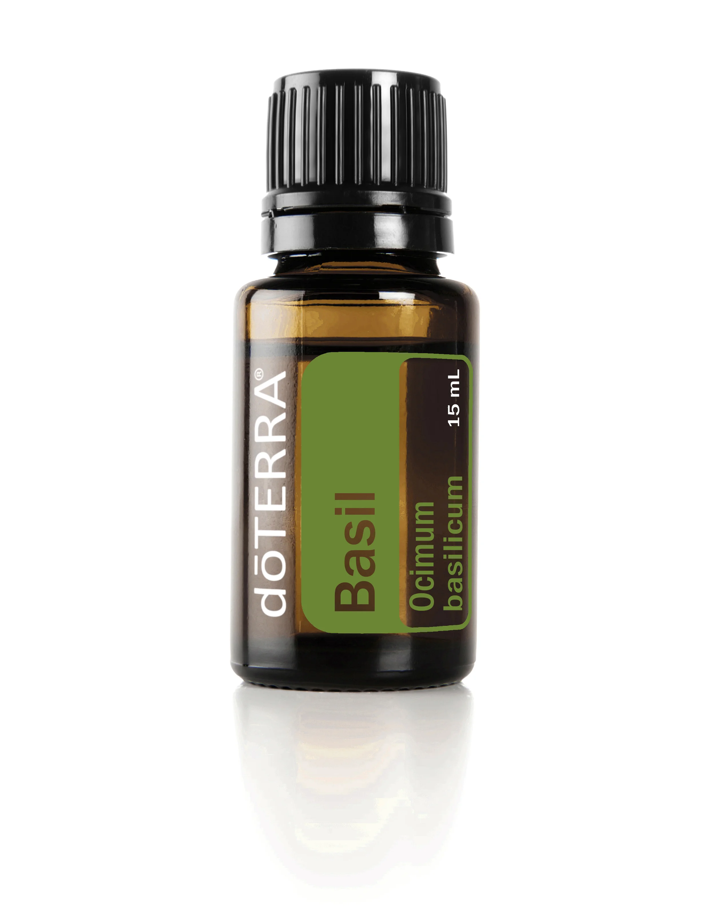 Basil Essential Oil