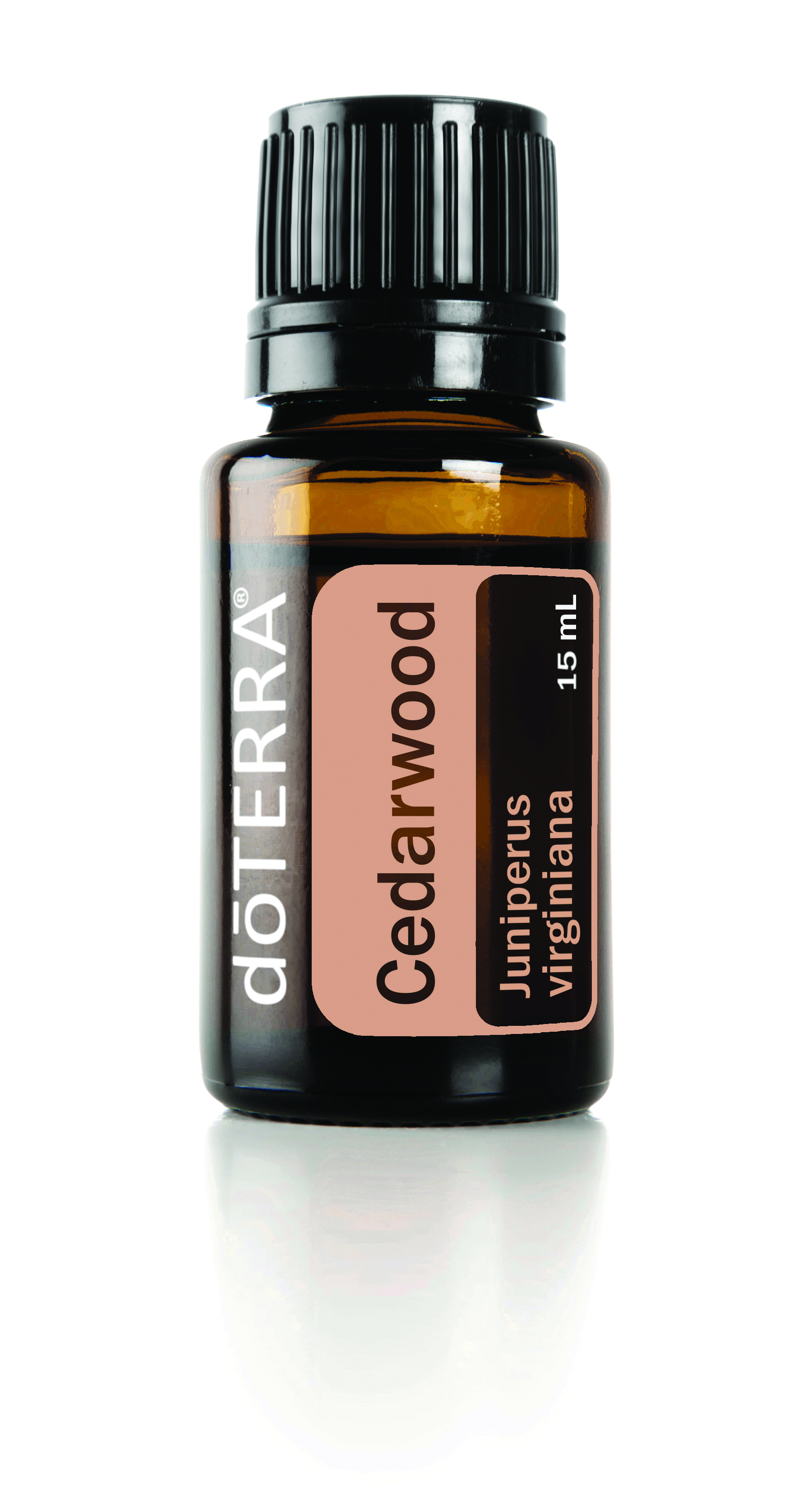 Cedar Wood Essential Oil