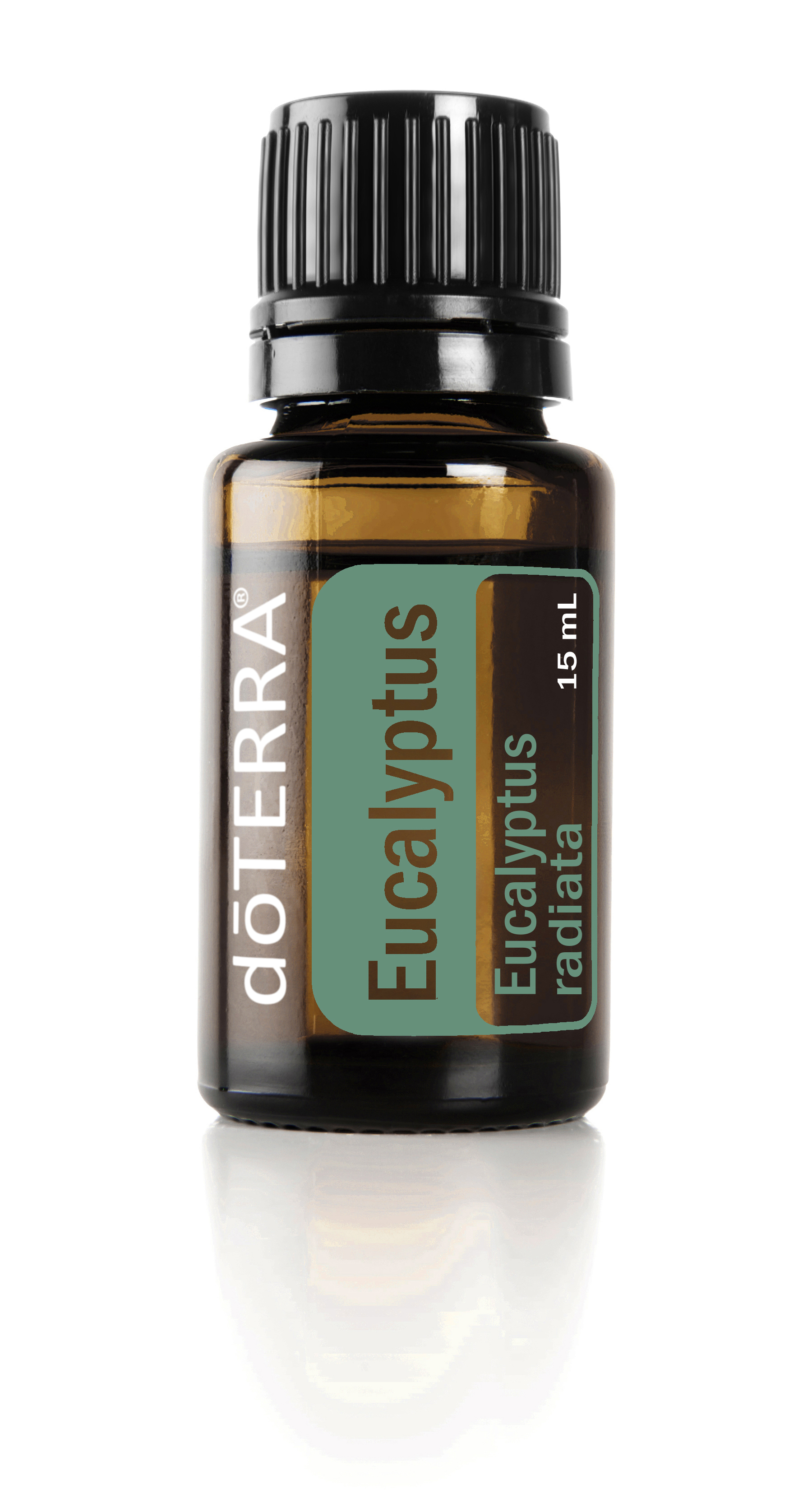 Eucalyptus Essential Oil